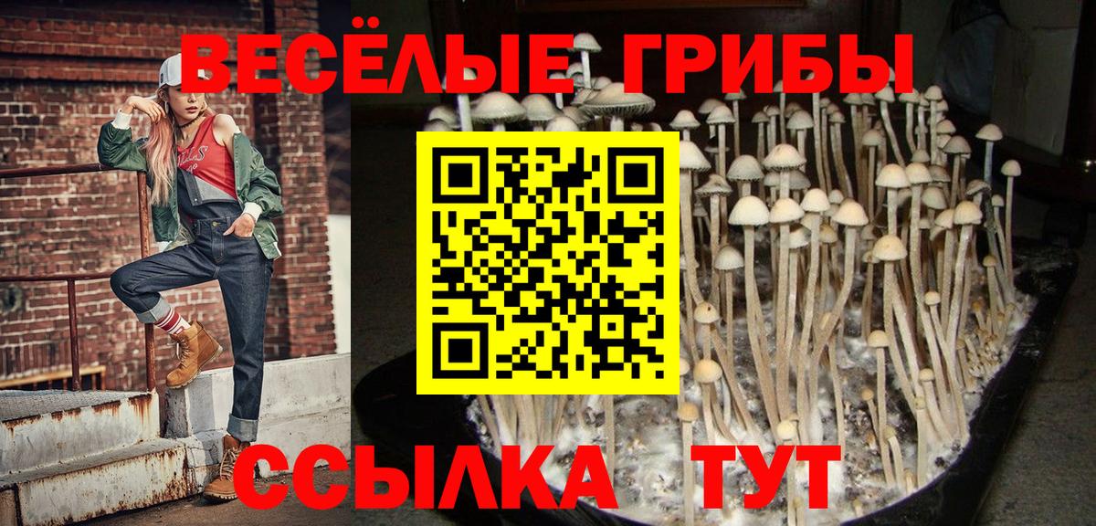 Галлюциногенные грибы MAGIC MUSHROOMS  Вход с VPN  Северобайкальск 